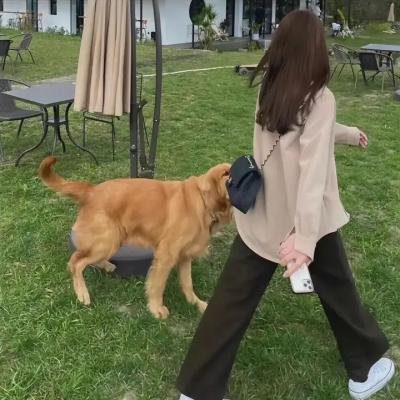 党的混蛋